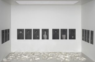 Niels and the Lilies